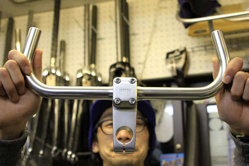bull1