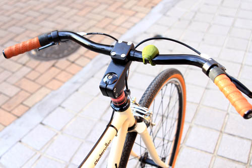 surly2
