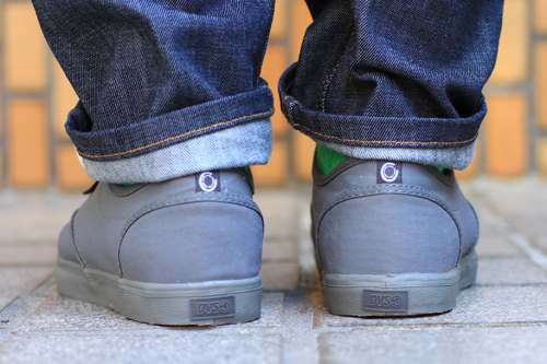 dvs2