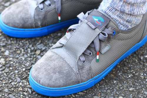 dvs6