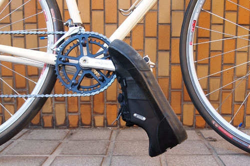 dzr5
