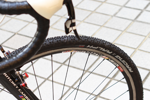 schwalbe1 schwalbe1