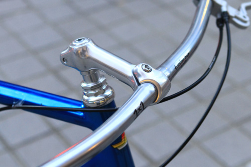 nittostem3