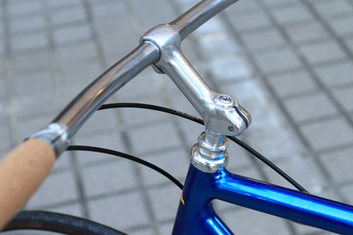 nittostem4