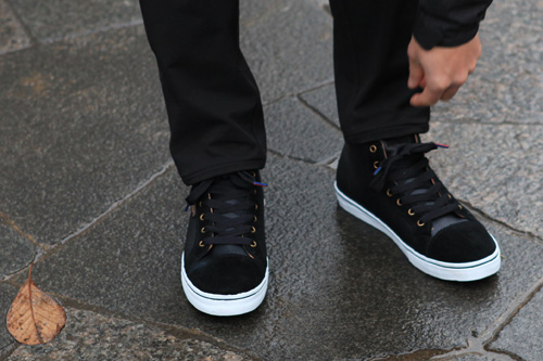 dvs1