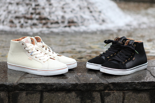 dvs13