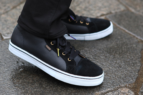 dvs2