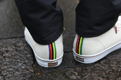 dvs4