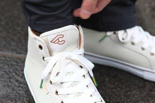 dvs9