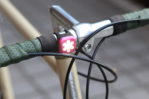 knog11 knog11