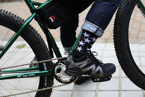 surly3