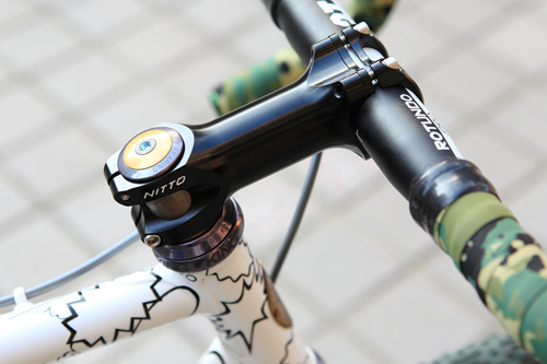 nittostem1
