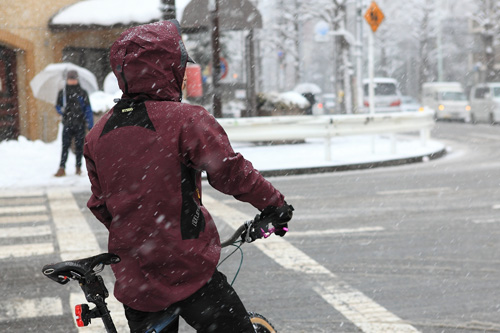 snowitem11 snowitem11