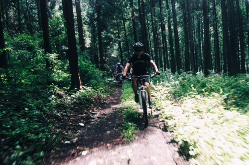 IMG_0695 IMG_0695