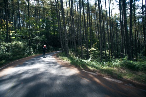 IMG_0614 IMG_0614