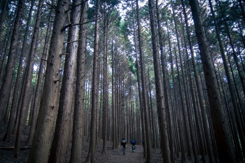 IMG_4677 IMG_4677