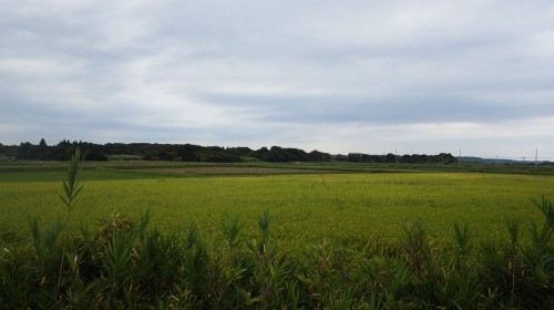 c06