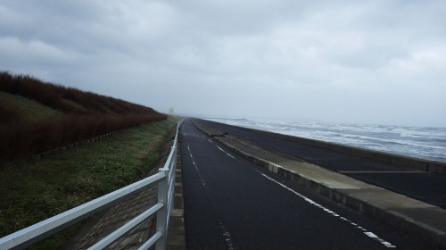c20