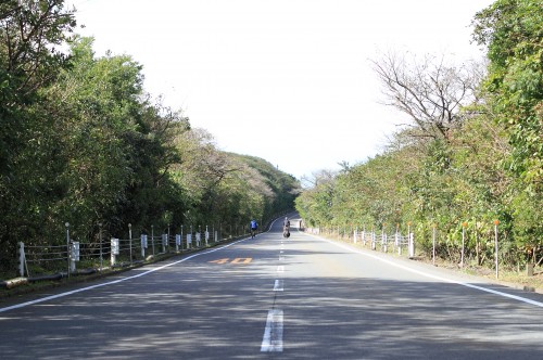 DPP_0000035