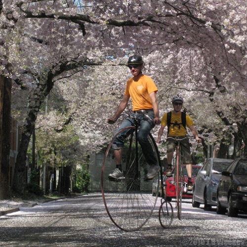 penny_bike_snow