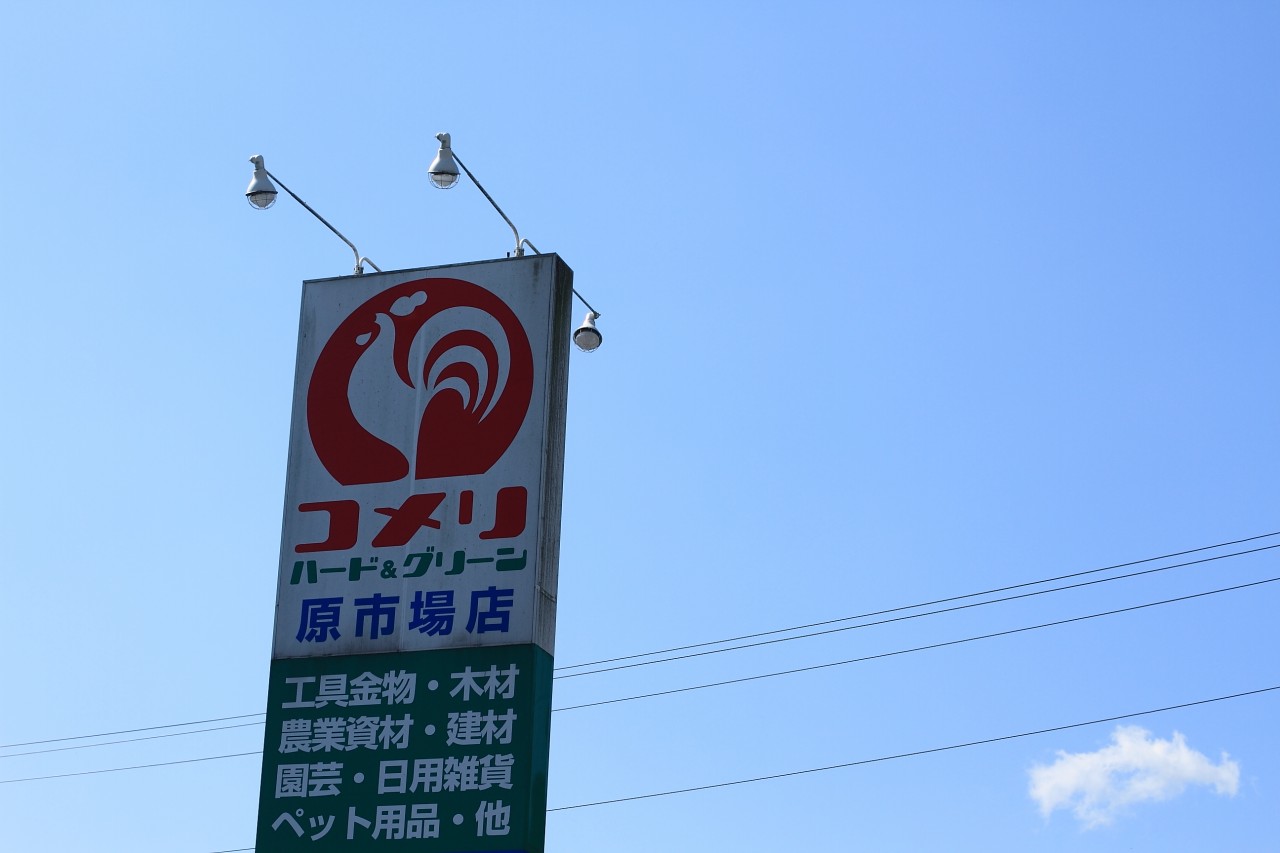DPP_000067