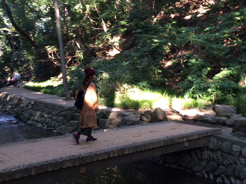 image1 のコピー 4