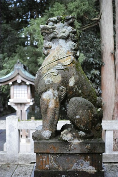 img-13