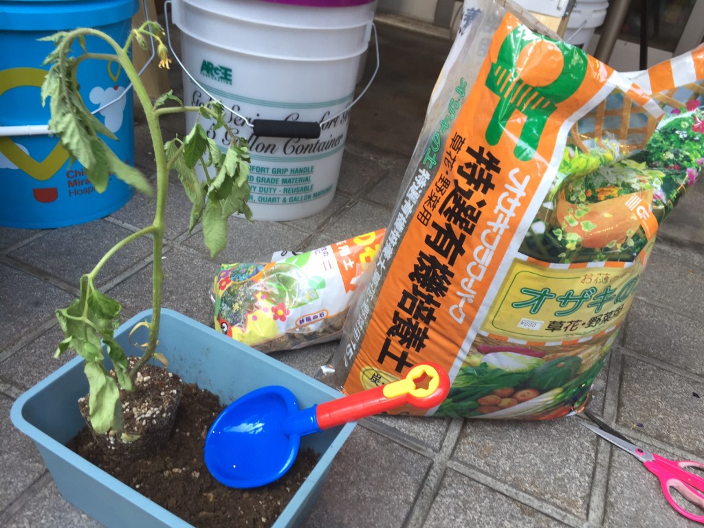 image1 のコピー