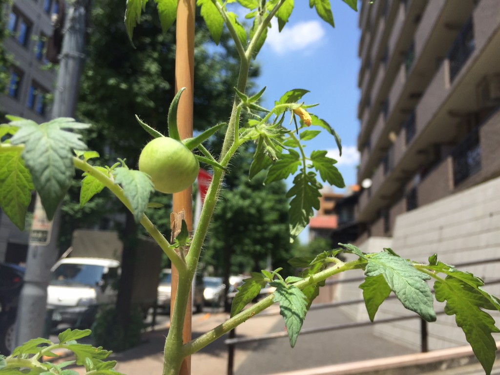 image1 のコピー 3