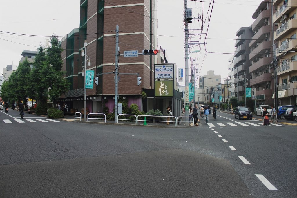 DPP_000019