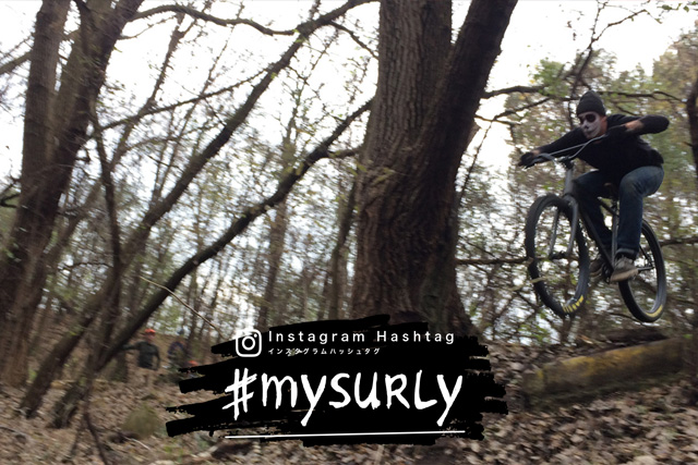 mysurly 2018