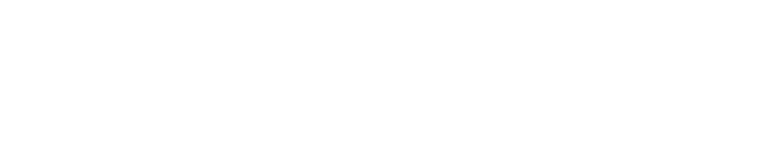 これが、ぼくのサーリー。