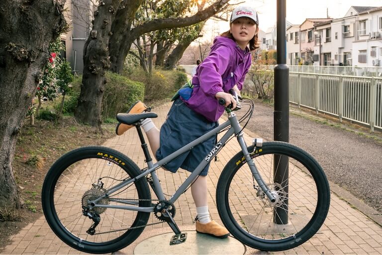 SURLY lowside アロ