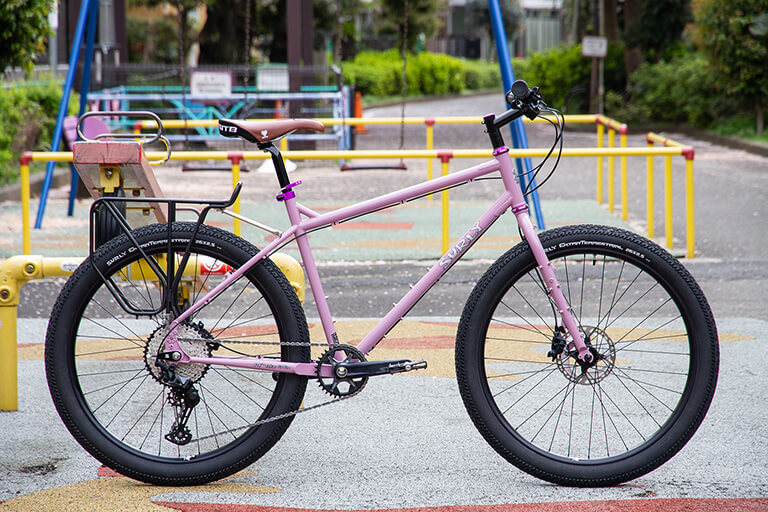 SURLY Troll